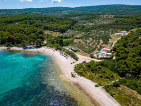 Seaside luxury villa with a swimming pool Mirca, Brac - 16183